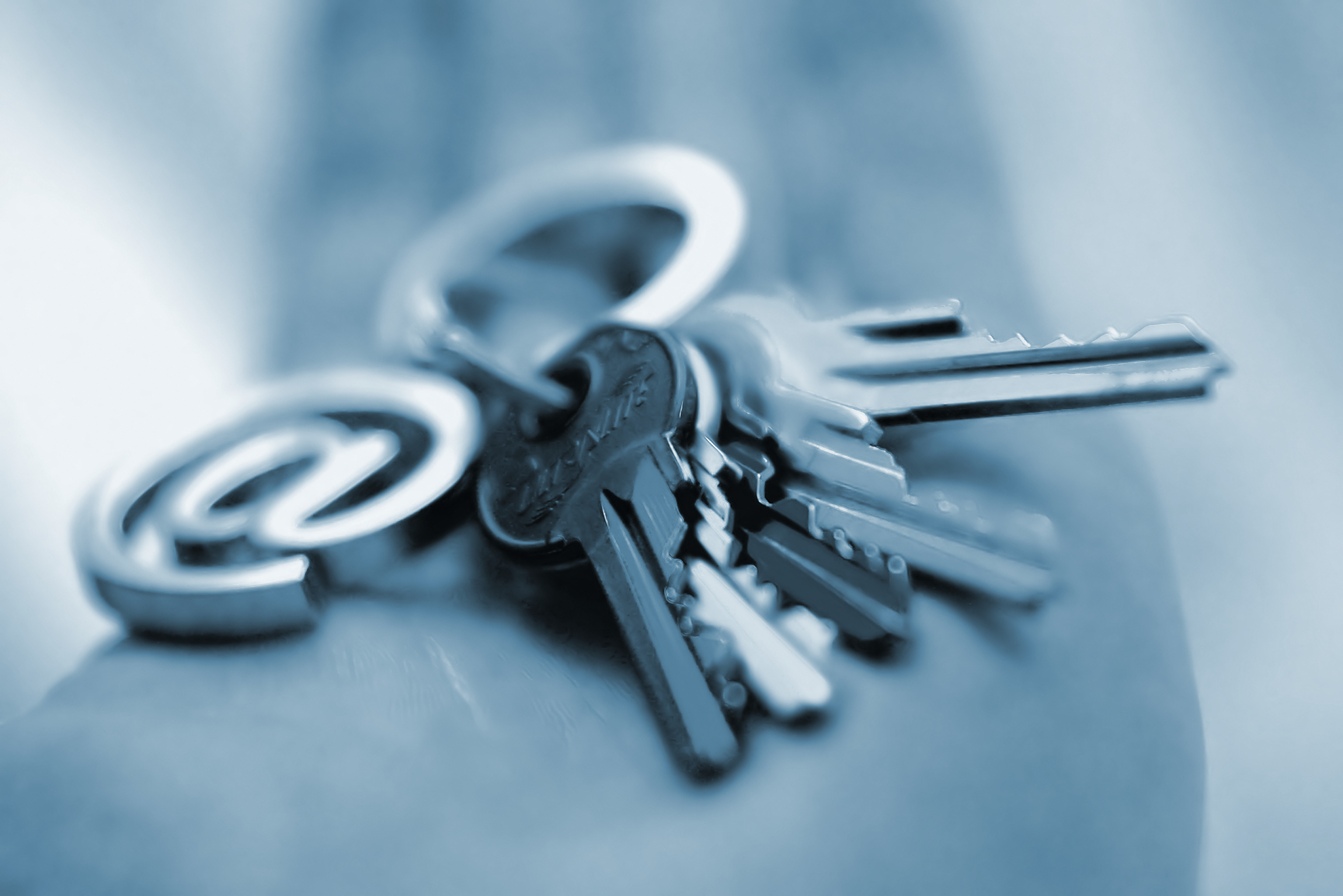 Automotive Email Marketing is a Cost-Effective Strategy